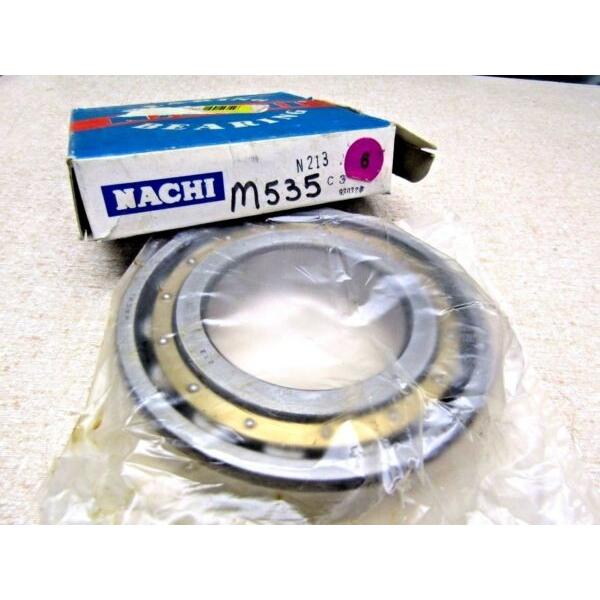 Nachi N213 C3 65X120X23 mm Cylindrical Roller Bearing  #1 image